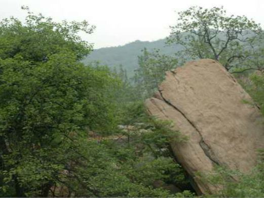 藤龙山风景区