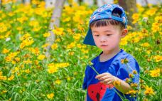 下渚湖·湿地公园-德清