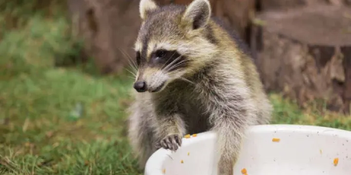 塔高海洋萌寵館