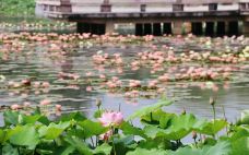 仙山湖风景区-长兴