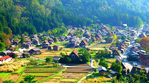 日本宇治市 金泽 福井 下吕温泉街 岐阜市 高山上三之町古街 白川乡合掌村 平等院三日游 大阪接送 深度小团 看世遗 漫走抺茶街 线路推荐 携程玩乐 日本宇治市 金泽 福井 下吕温泉街 岐阜市 高山上三之町古街 白川乡合掌村 平等院三日游 大阪接送 深度小团 看世遗 漫走抺茶街 线路推荐 携程玩乐