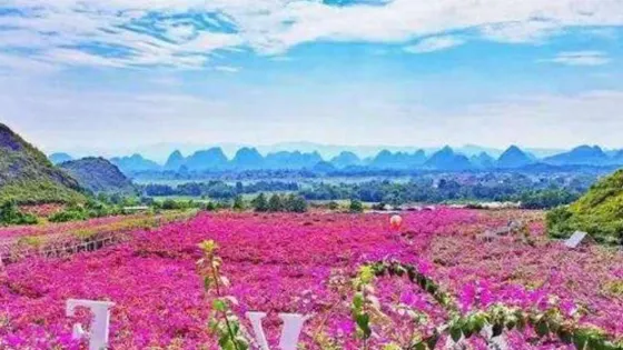 京山花台山景區