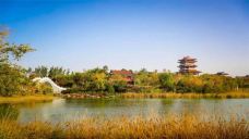 郑州园博园-新郑