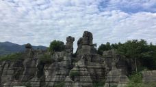 西部竹石林景区-长宁