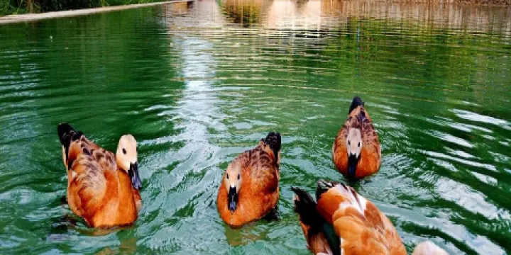 泉壽灣（賈浪溝）旅遊景區