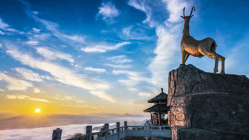大桂山森林公园
