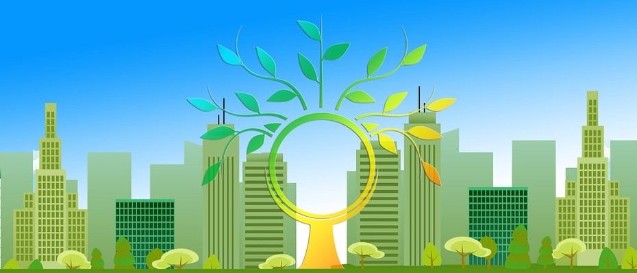 Sustainable and Green Travel Ideas
