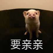 陈哈哈611