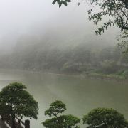 木木的回到地球