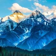 可爱的小鸡宝宝