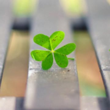 生活就是在度假