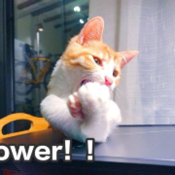 思墨的无限夏日