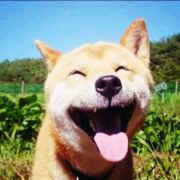 成熟的欧巴