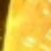 马尔默公孙龙