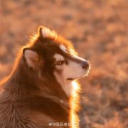 _WeChxxxx710553