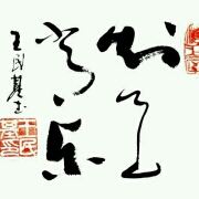 狼道君途
