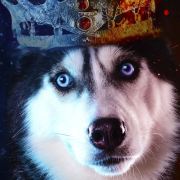 扶苏的旅行日记