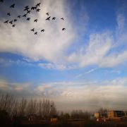 晴空万里不如遇见你啊