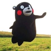 愤怒的猪儿虫