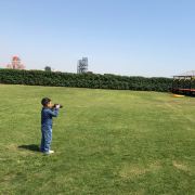 胡萝卜小兔子白萝卜