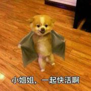 人生-若梦