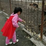 奔跑的小鱼儿08