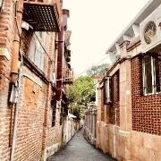 杨土土吖