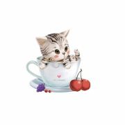 _WeChxxxx78479