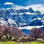 西藏豫丰户外俱乐部有限公司