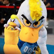 生若夏花之灿烂