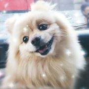 臭臭的念想