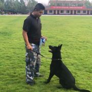 一剑一酒忆青楼