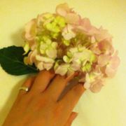 凤凰花开的路口总有一个人先走