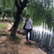 Andy wang oo