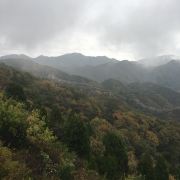 绥棱贺拔岳