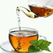 喜爱东南亚之旅