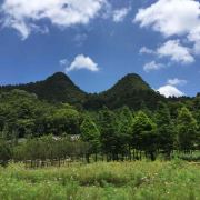 你在看哪里啊