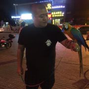 暴暴蓝129