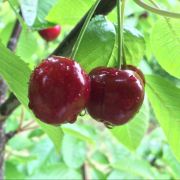 出门远行的心情