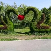 伊奥尼亚群岛夏侯霸