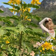 旅游攻略大表姐