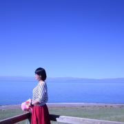 爱多肉的阿拉蕾