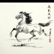 海阔天空 马到成功