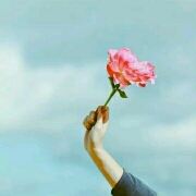 纷纷扬扬的白雪