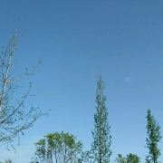 天空之城之苏菲