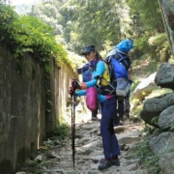 菜驴中的战斗机