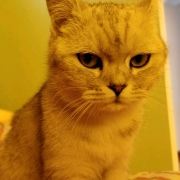 _wechxxxx853455