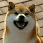 天使白衣ssss