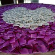 小雪带你自由行