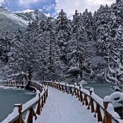自助游vx159280929